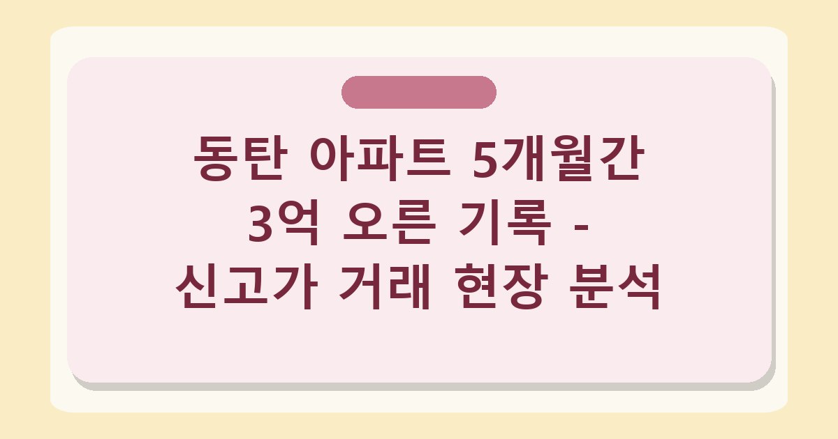 동탄 아파트 5개월간 3억 오른 기록 - 신고가 거래 현장 분석