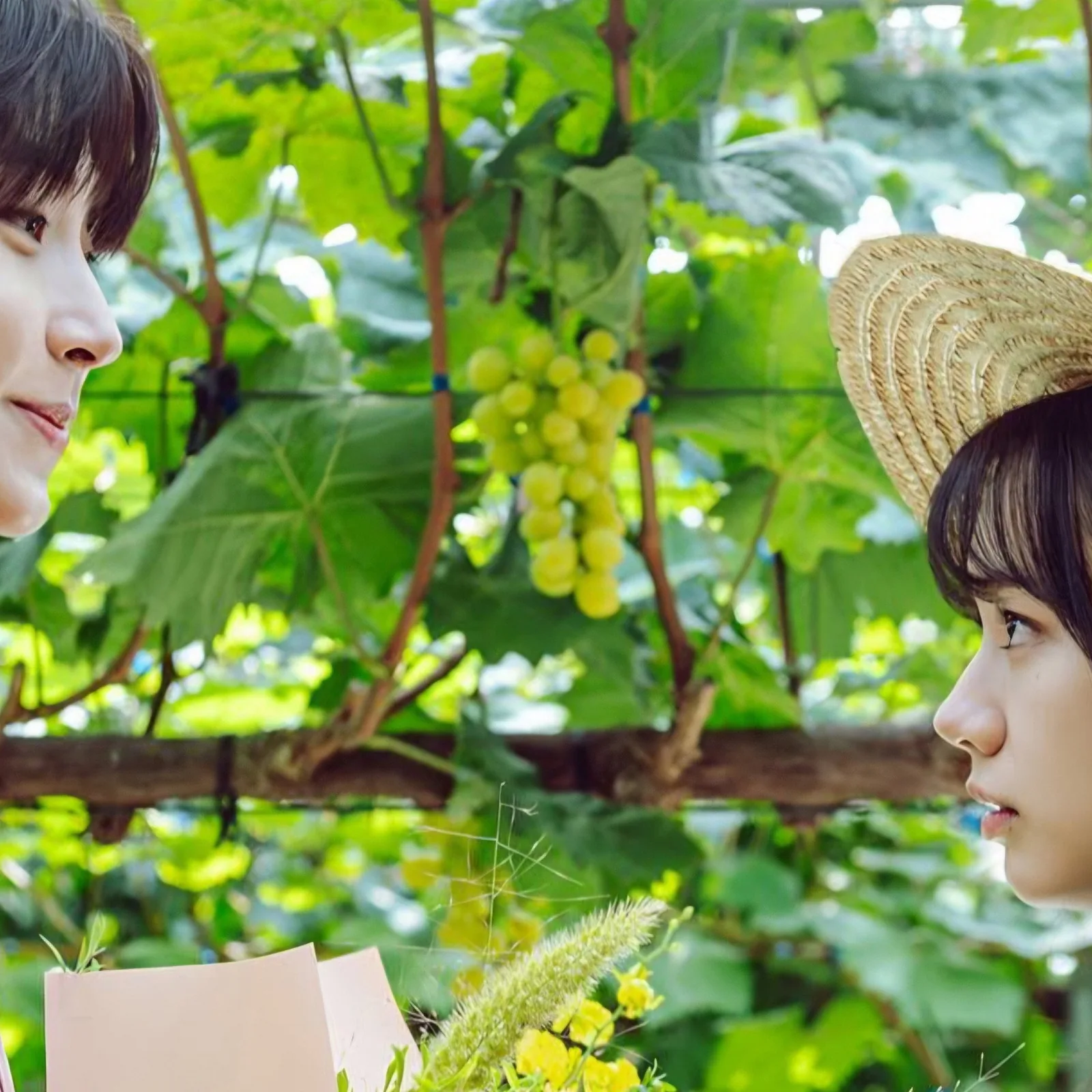 그대에게 드림 유사 청춘 로맨스물과의 감성 비교